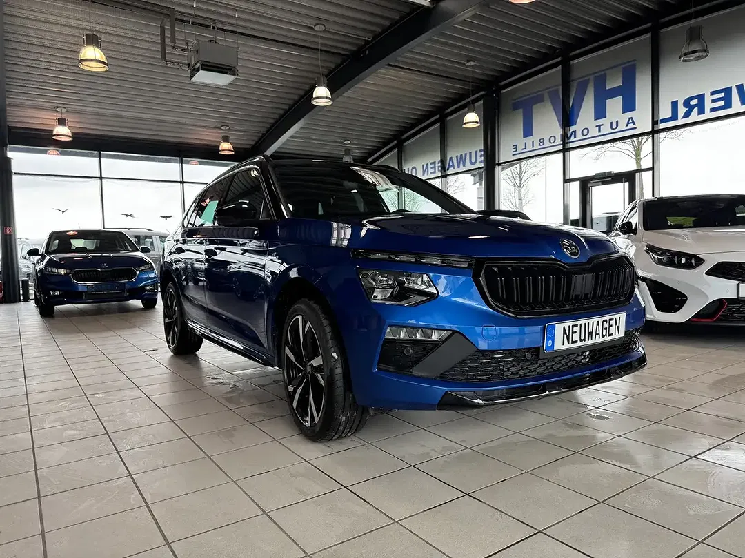 Skoda Kamiq - Thumbnail 10