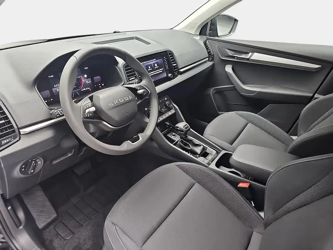 Skoda Karoq - Thumbnail 19