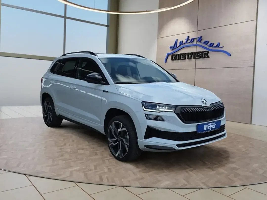 Skoda Karoq - Thumbnail 8
