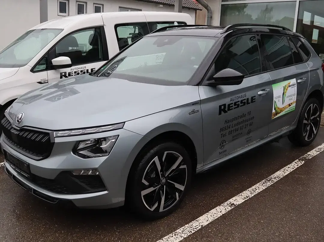 Skoda Kamiq - Thumbnail 3