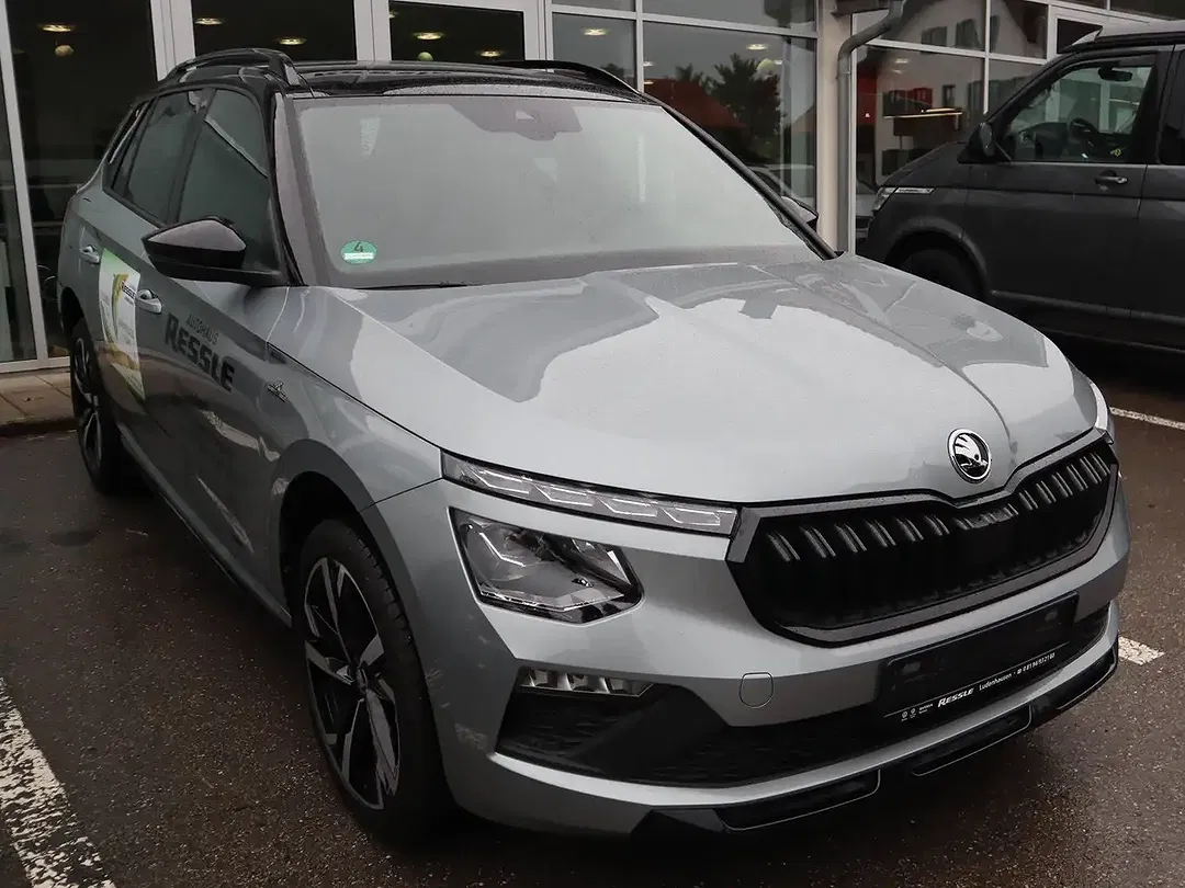 Skoda Kamiq - Thumbnail 4