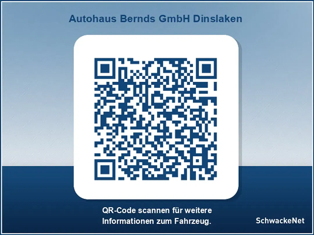Renault Symbioz - Thumbnail 15