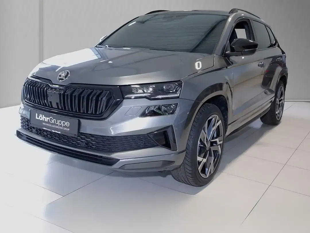 Skoda Karoq - Thumbnail 1