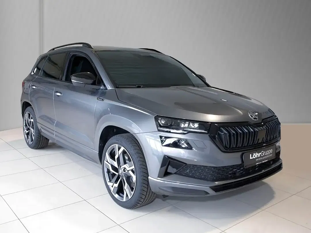 Skoda Karoq - Thumbnail 2