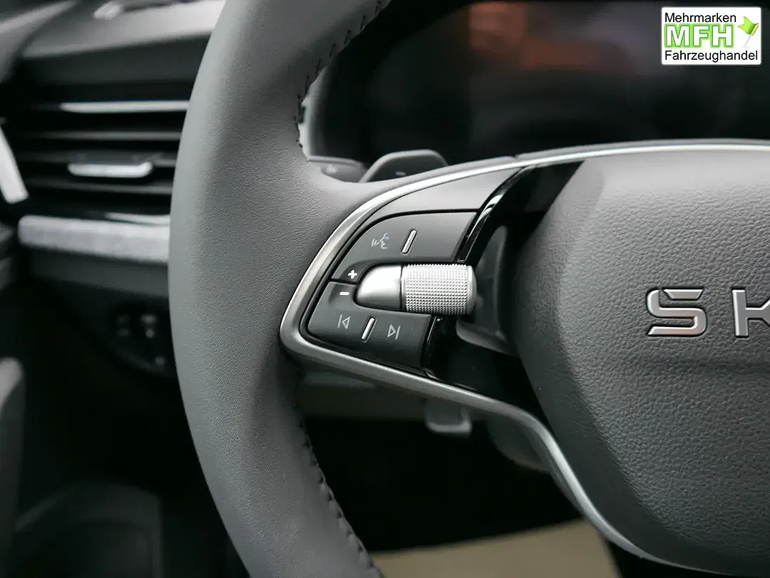 Skoda Kamiq - Thumbnail 12