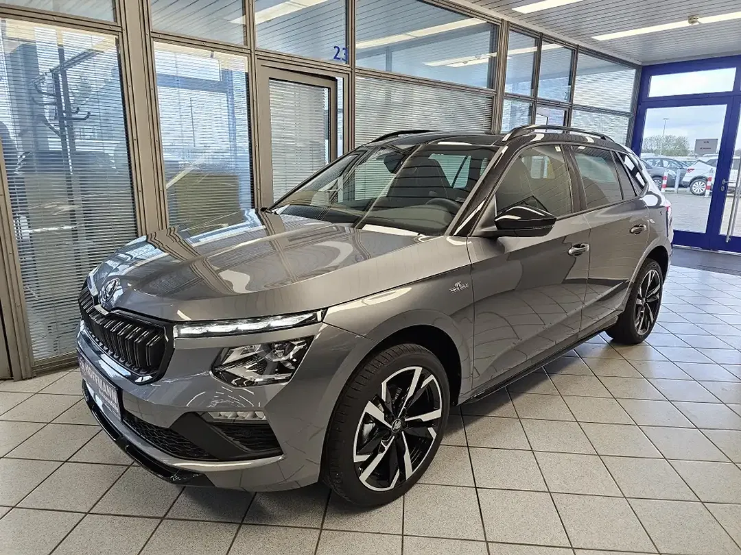 Skoda Kamiq - Thumbnail 1