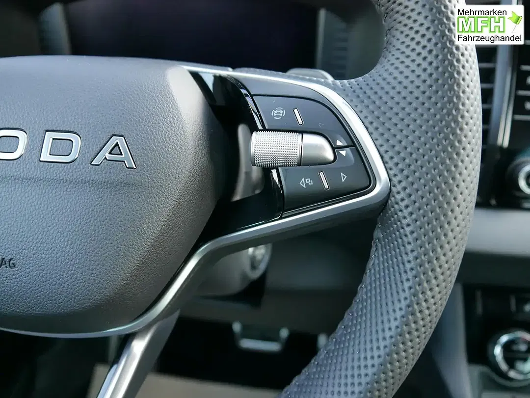 Skoda Karoq - Thumbnail 13