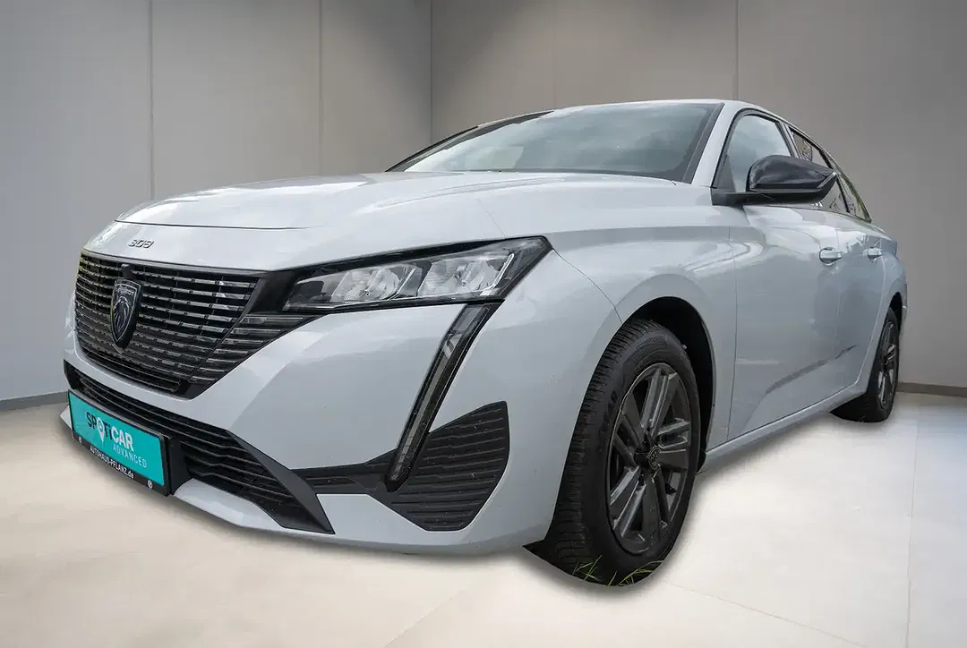 Peugeot 308 - Thumbnail 1