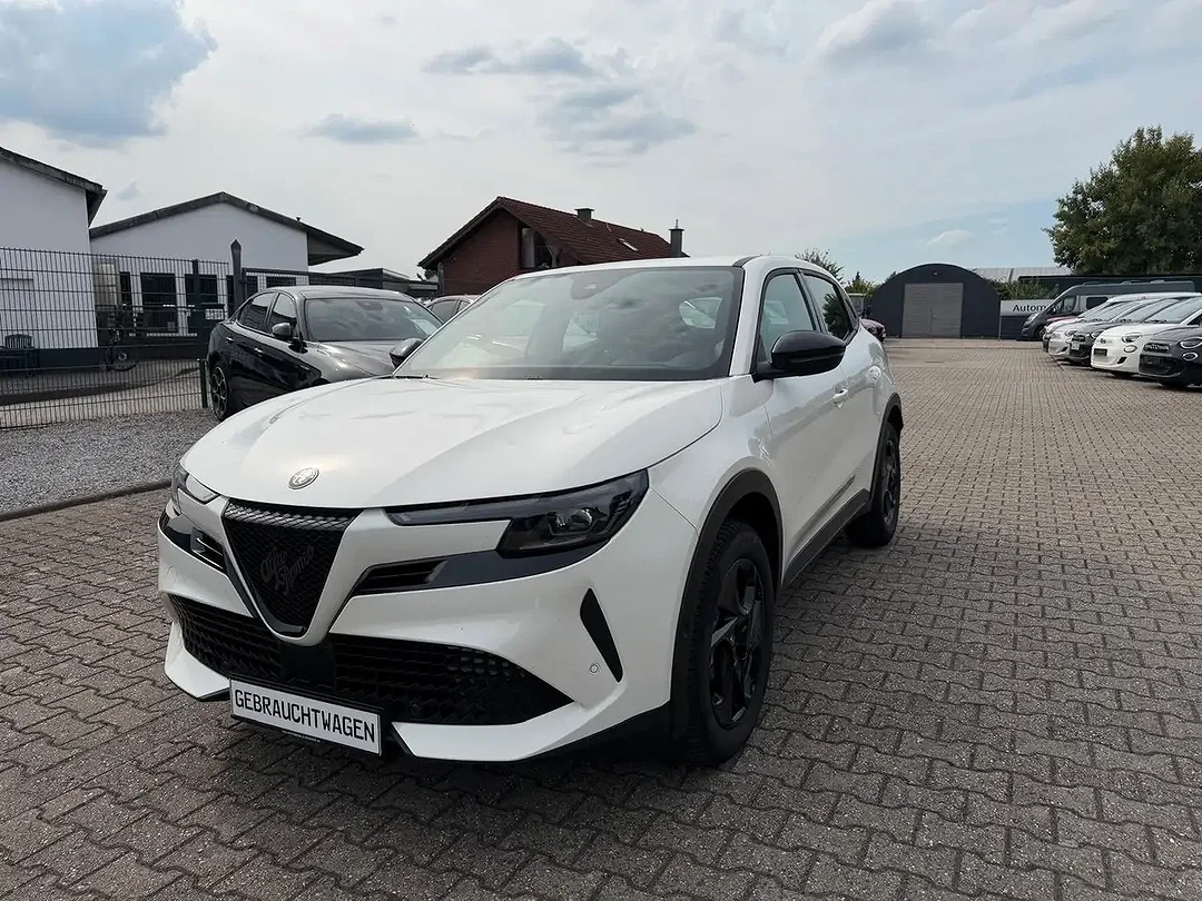 Alfa Romeo Junior - Afbeelding 1