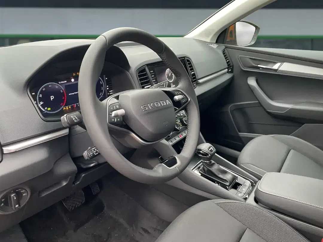 Skoda Karoq - Thumbnail 8