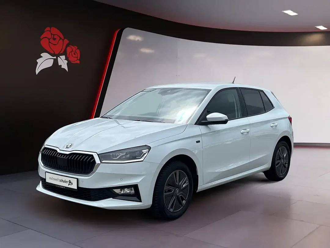 Skoda Fabia - Afbeelding 1
