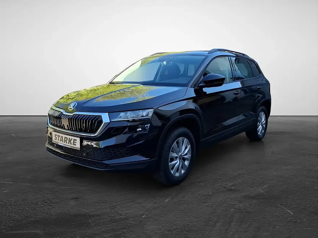 Skoda Karoq - Thumbnail 1