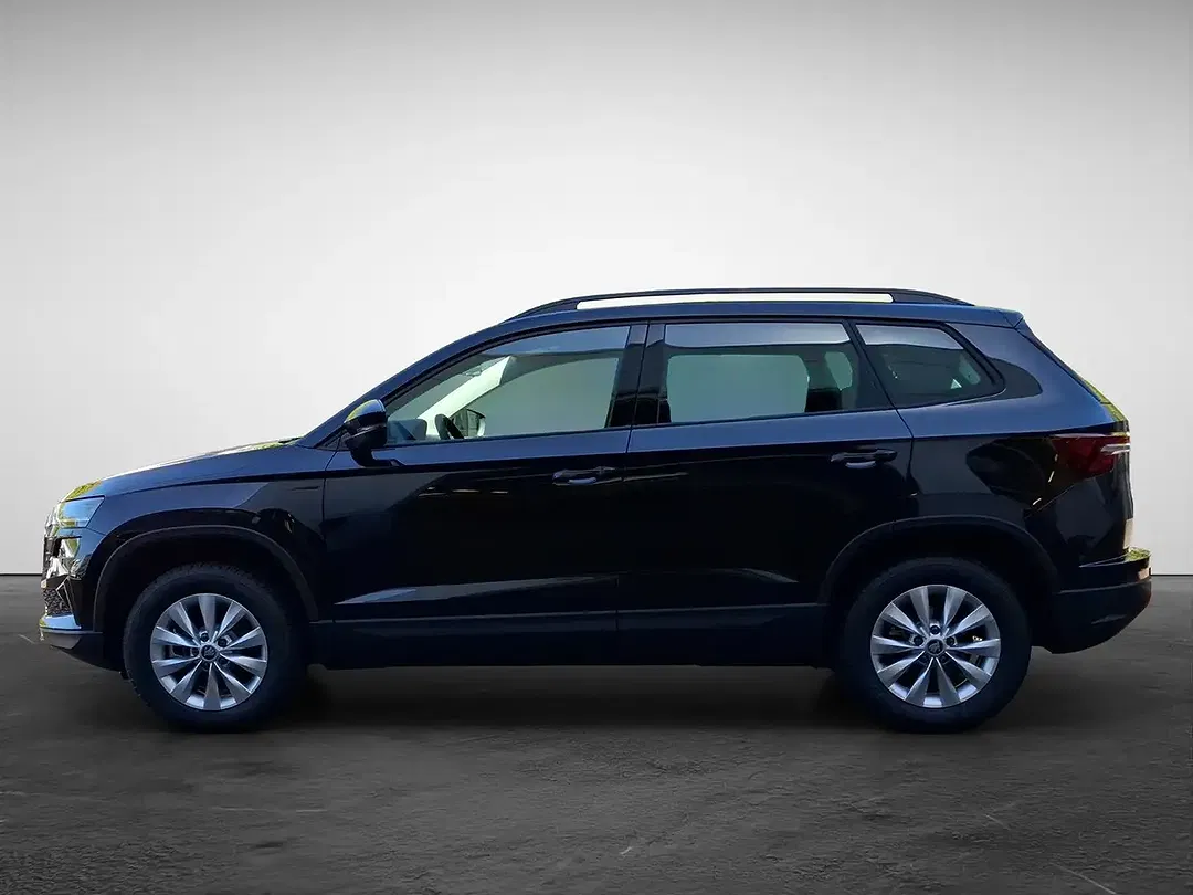 Skoda Karoq - Thumbnail 2