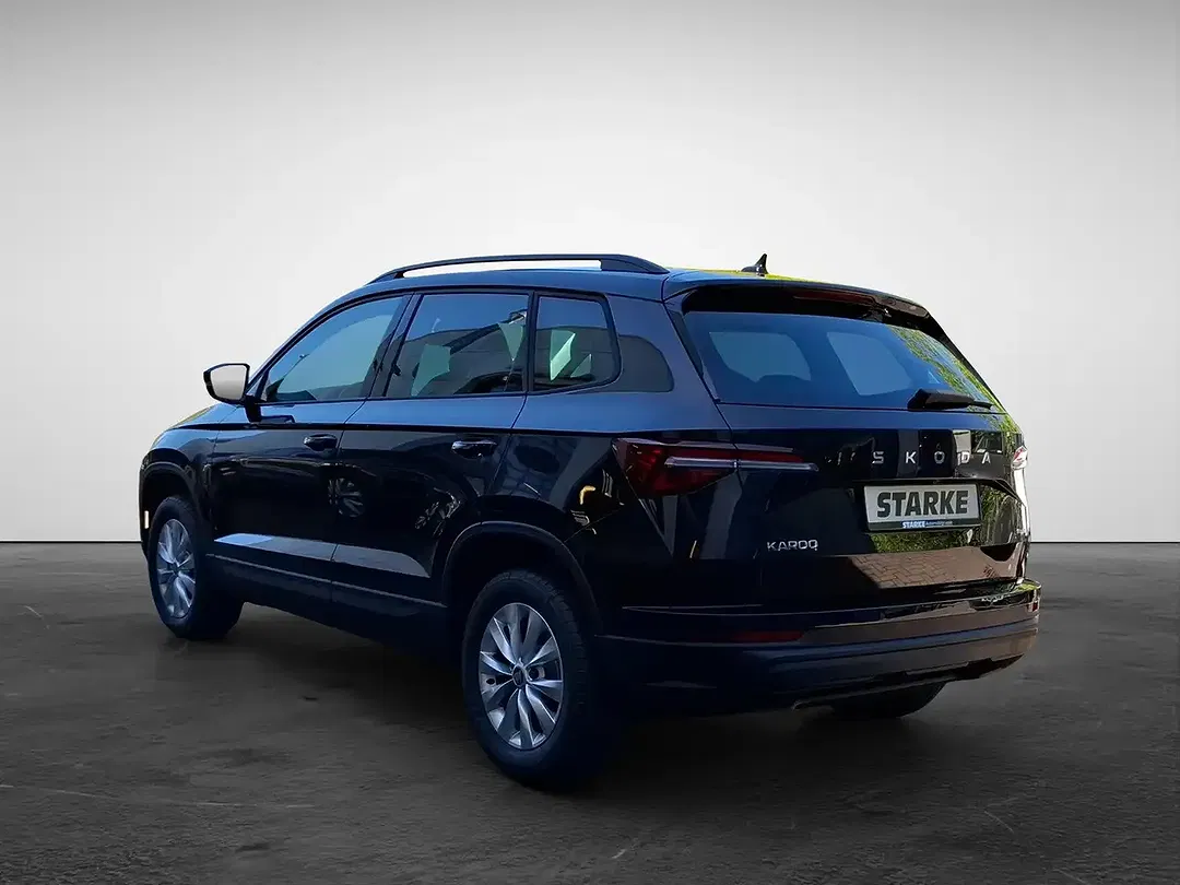Skoda Karoq - Thumbnail 3