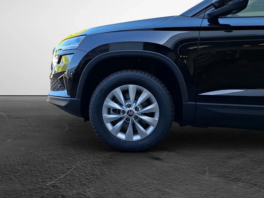 Skoda Karoq - Thumbnail 4