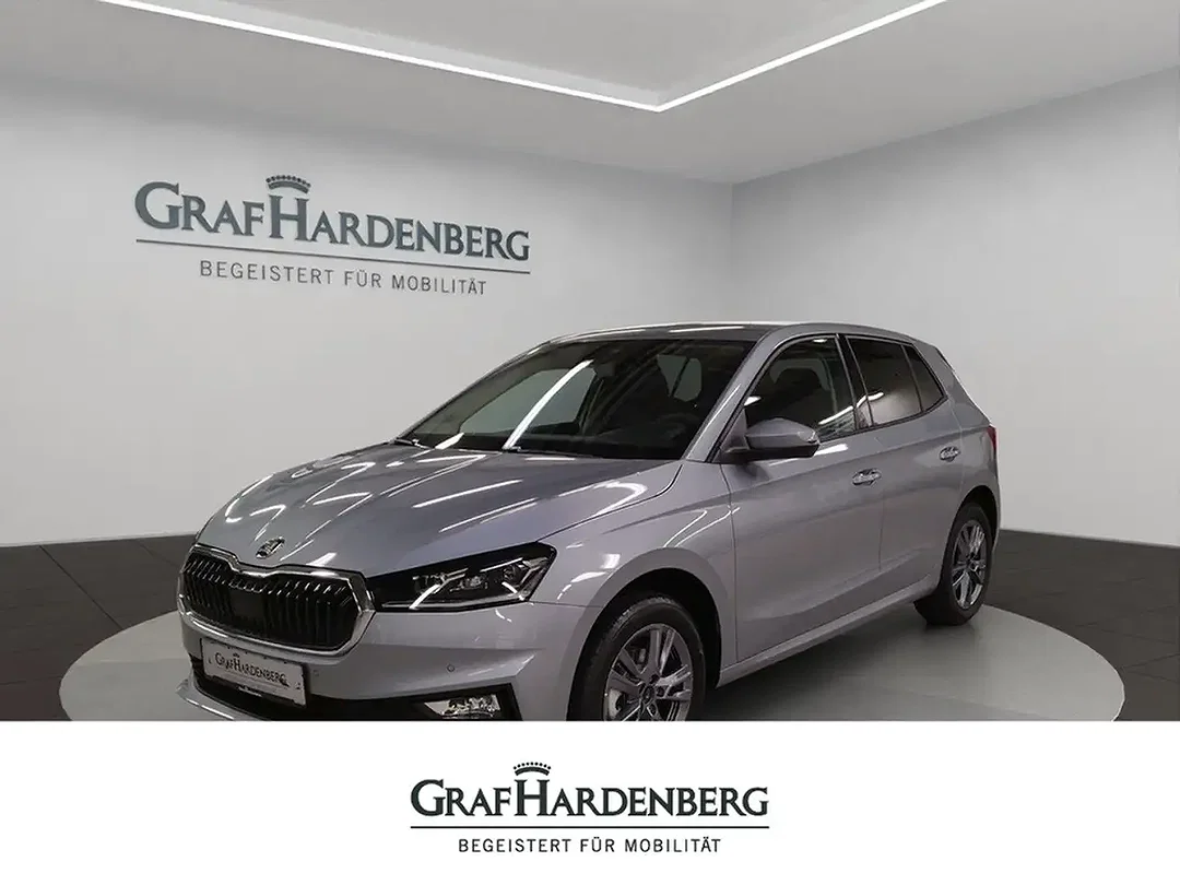Skoda Fabia - Afbeelding 1
