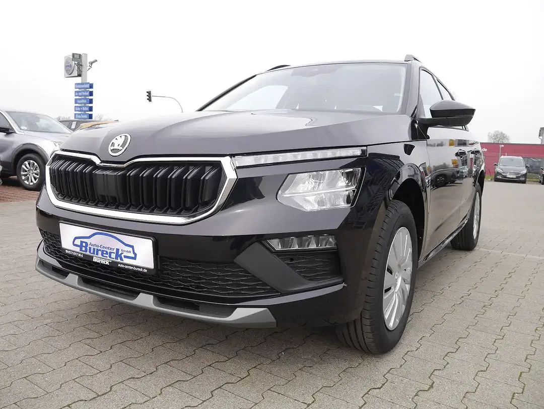 Skoda Kamiq - Thumbnail 2