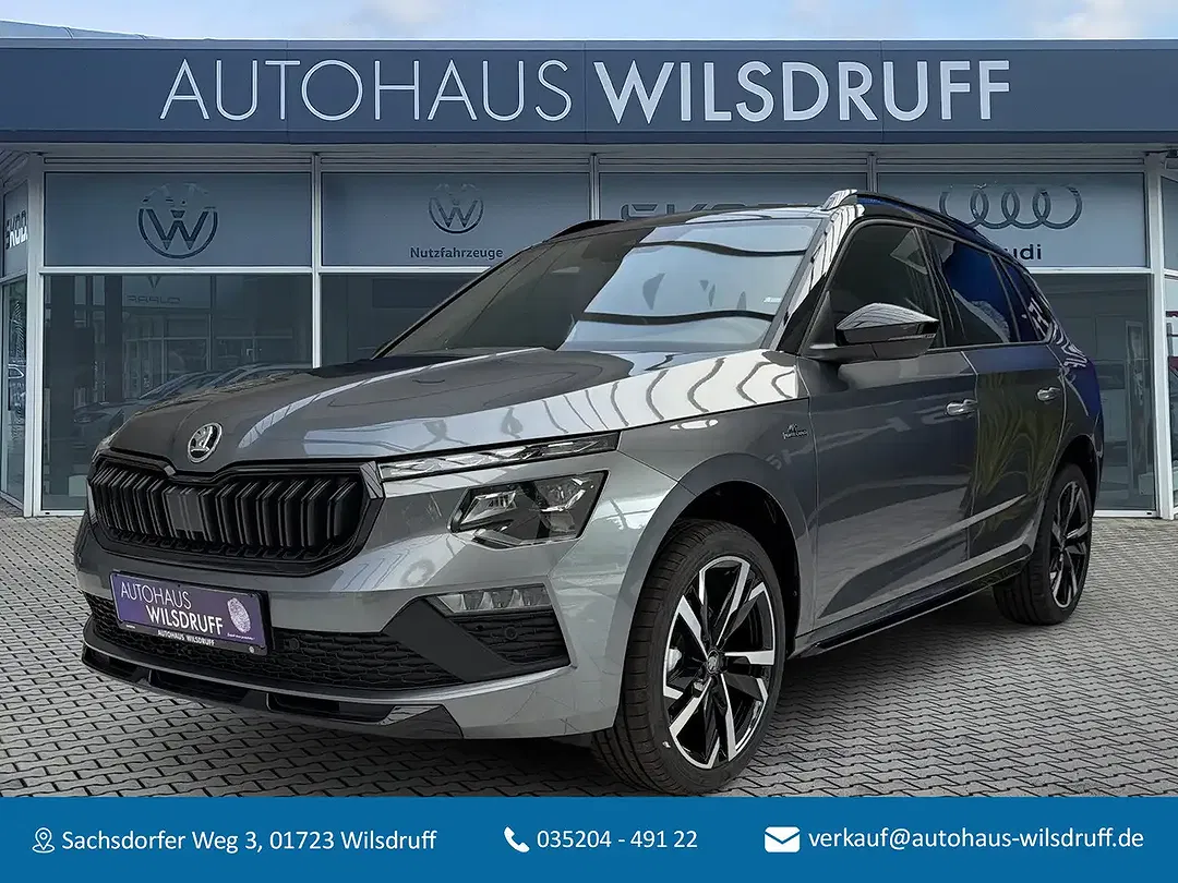 Skoda Kamiq - Thumbnail 1