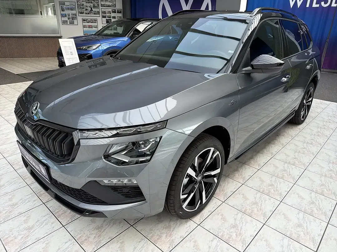 Skoda Kamiq - Thumbnail 2