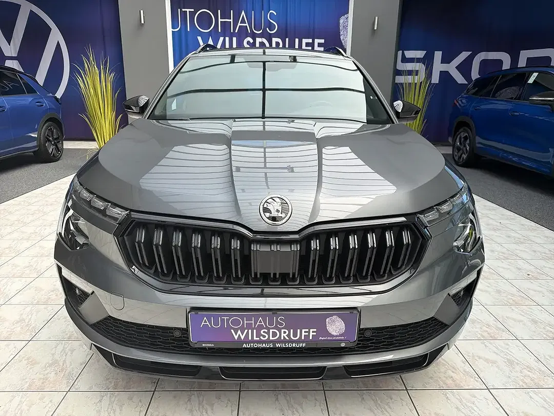 Skoda Kamiq - Thumbnail 3