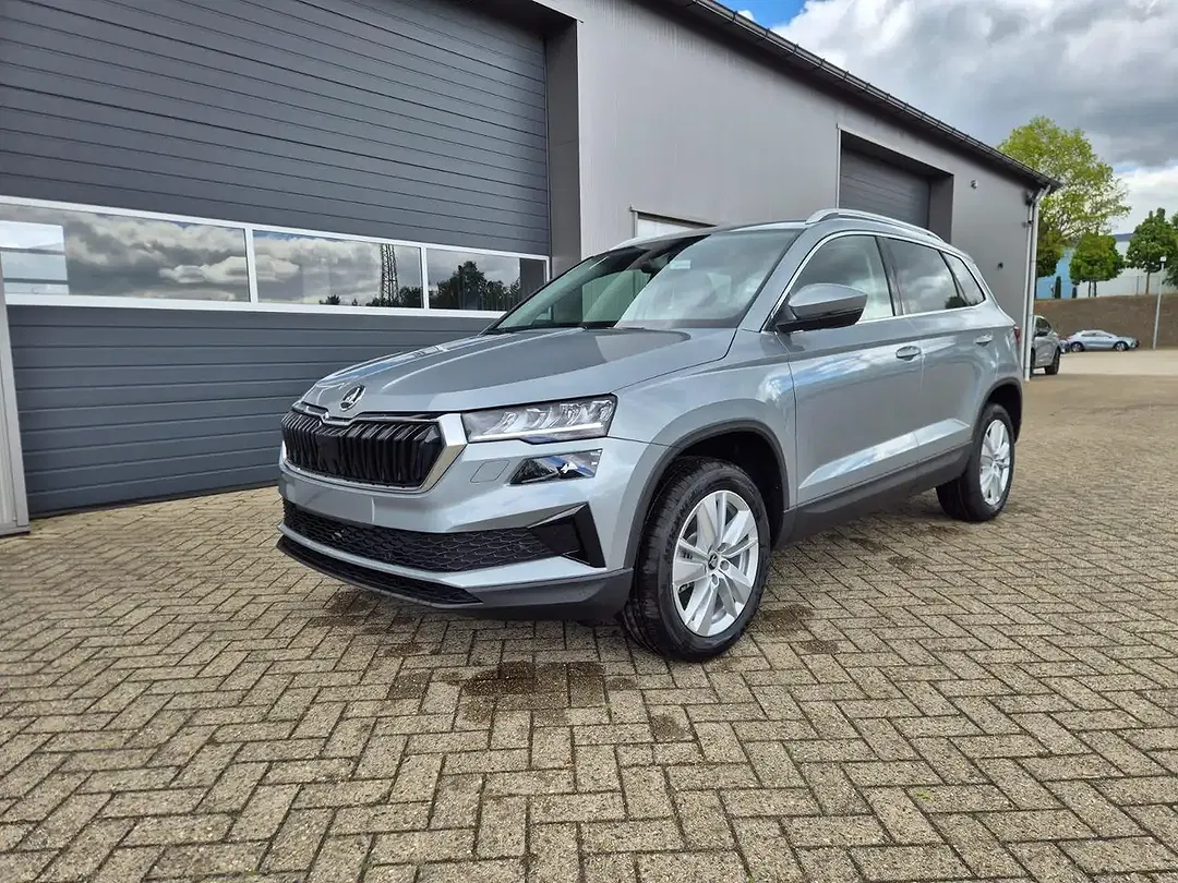 Skoda Karoq - Thumbnail 1