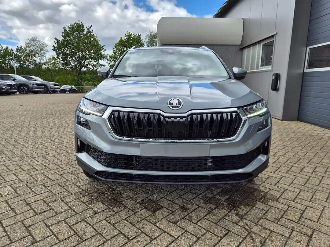 Skoda Karoq - Thumbnail 8
