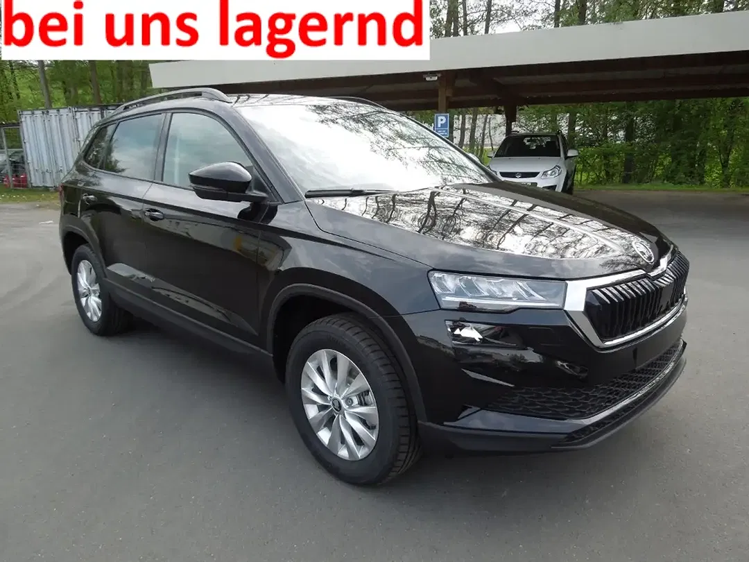 Skoda Karoq - Thumbnail 1