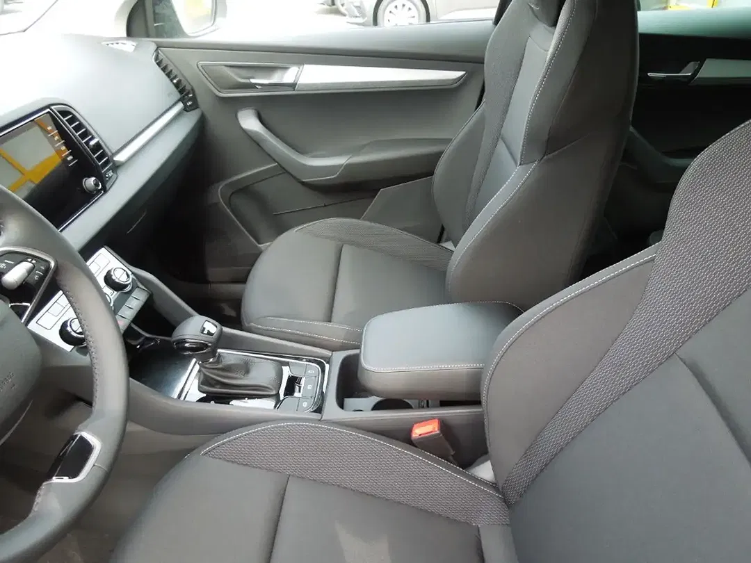 Skoda Karoq - Thumbnail 10