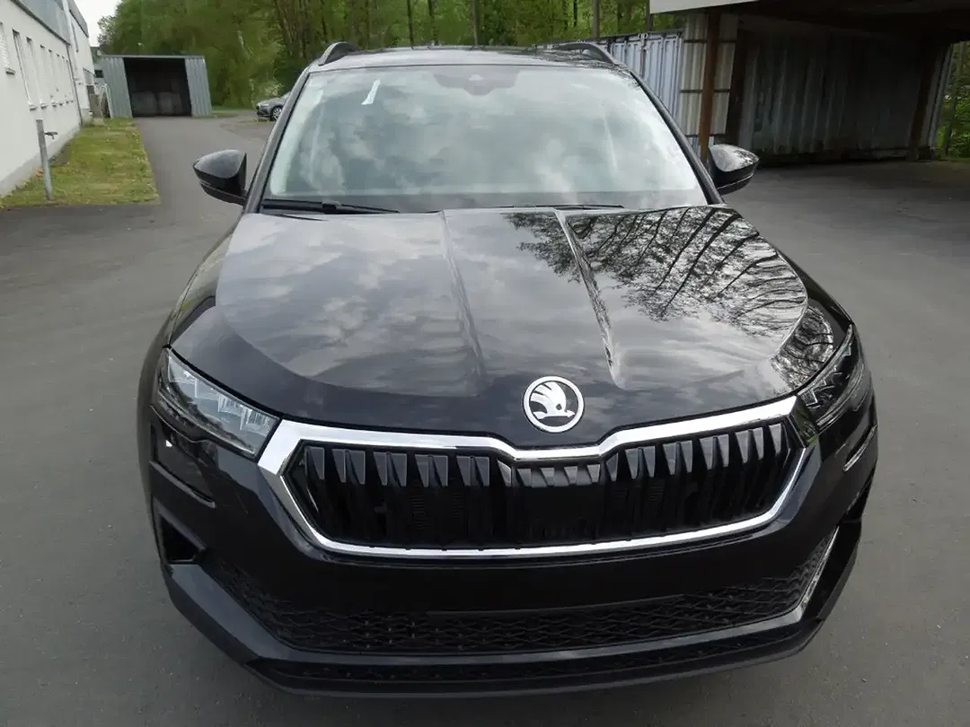 Skoda Karoq - Thumbnail 2