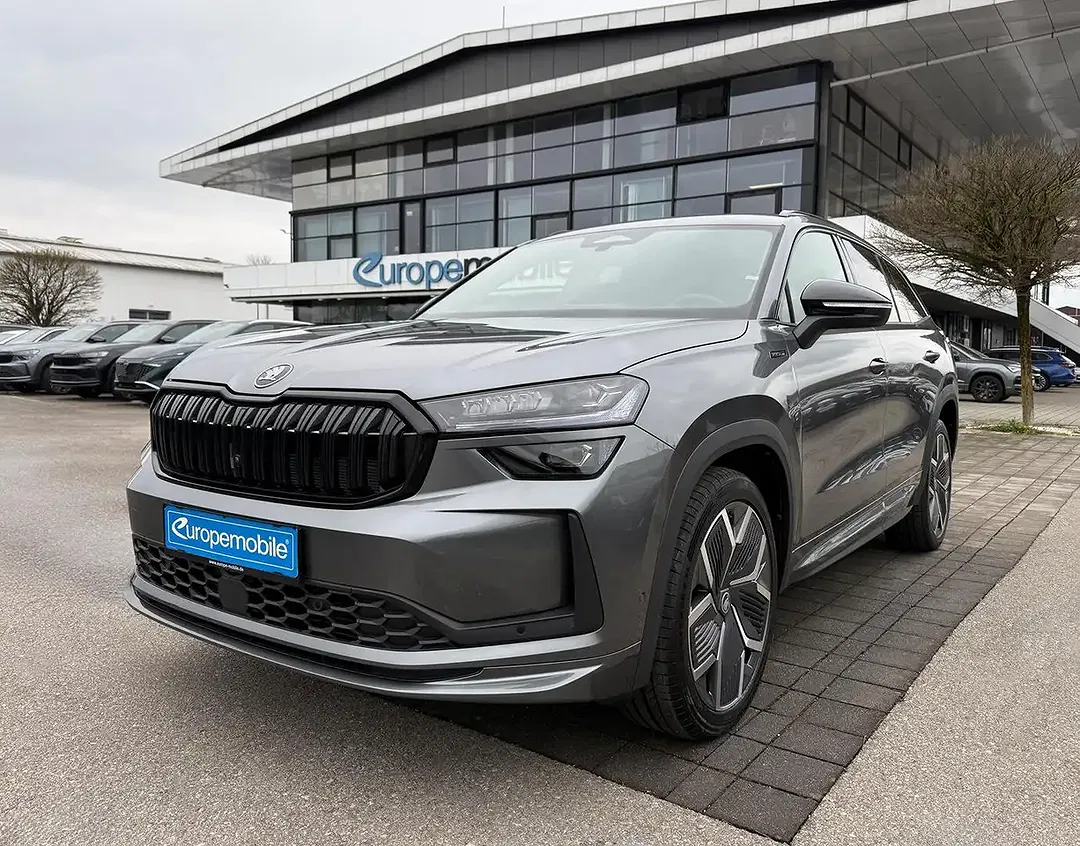 Skoda Kodiaq - Thumbnail 1
