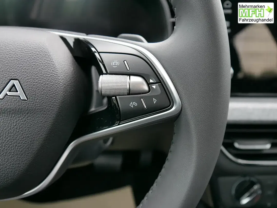 Skoda Kamiq - Thumbnail 13
