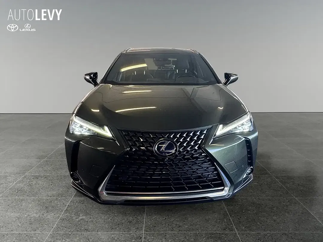 Lexus UX 300e - Thumbnail 9