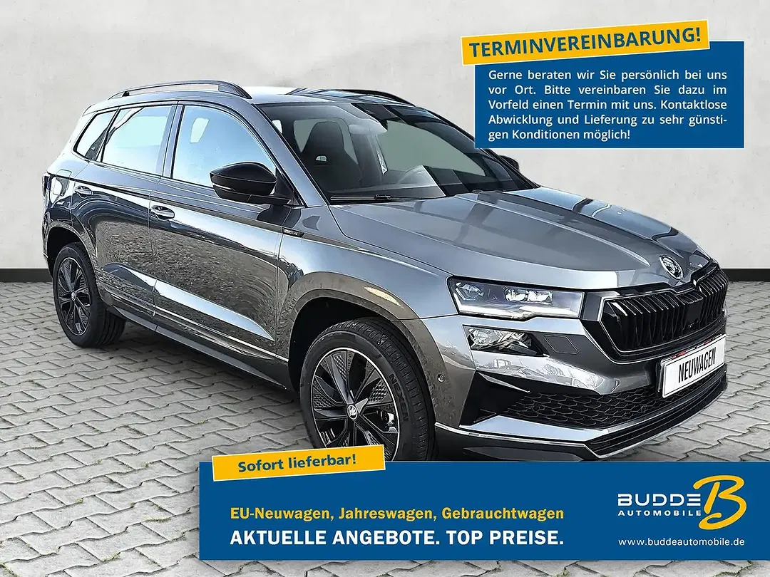 Skoda Karoq - Thumbnail 1