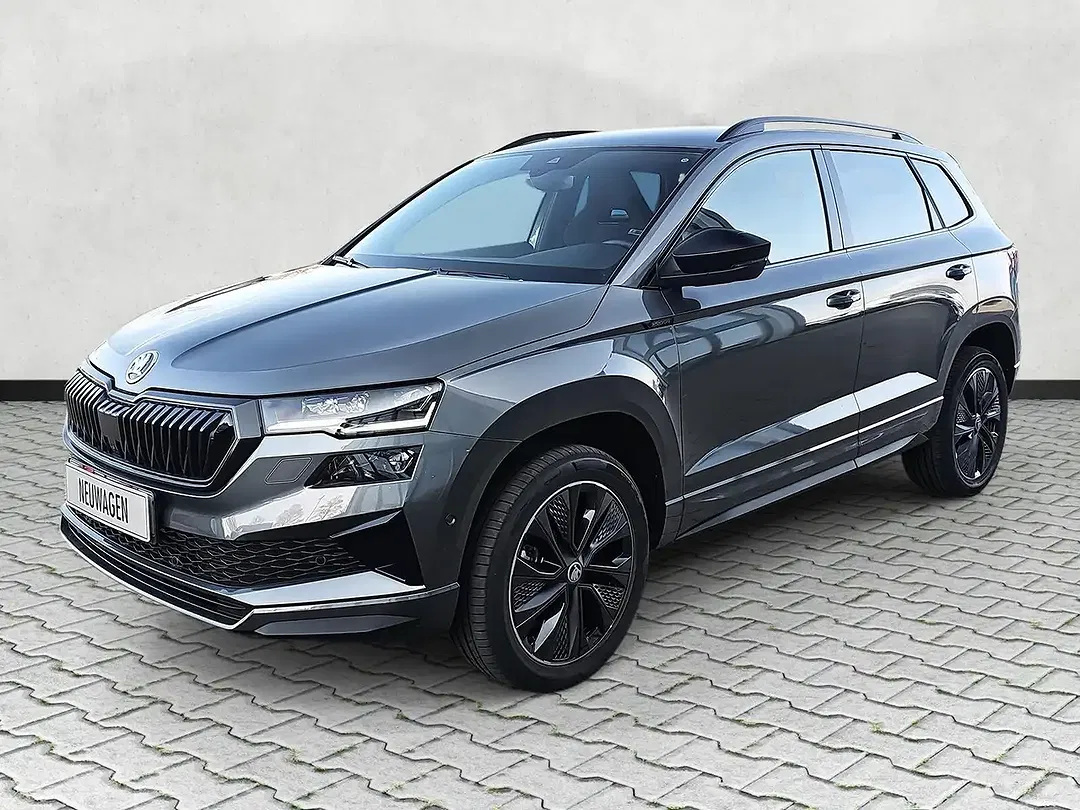 Skoda Karoq - Thumbnail 18