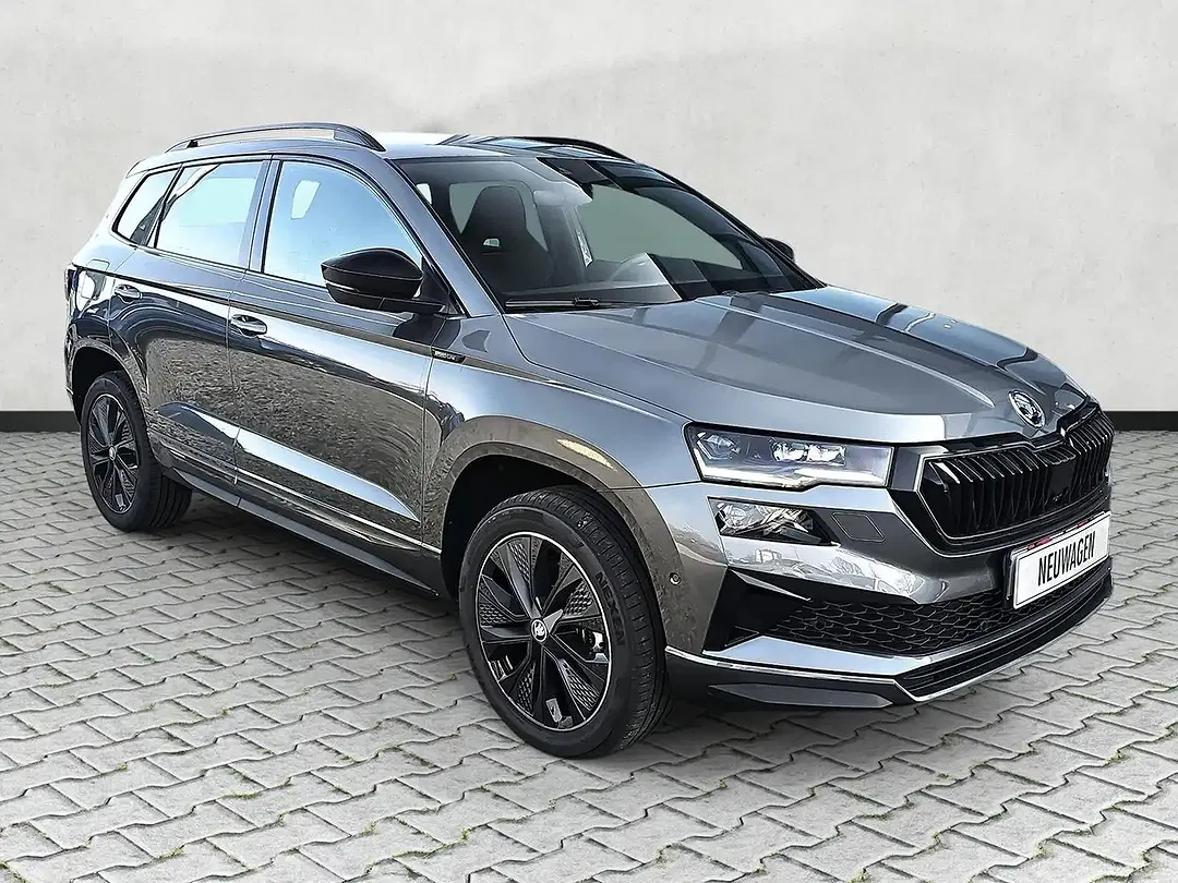 Skoda Karoq - Thumbnail 2