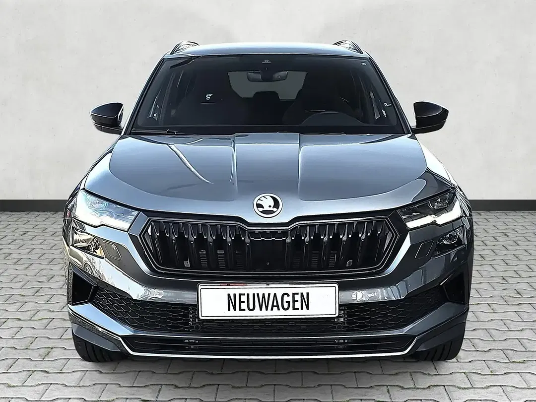Skoda Karoq - Thumbnail 3
