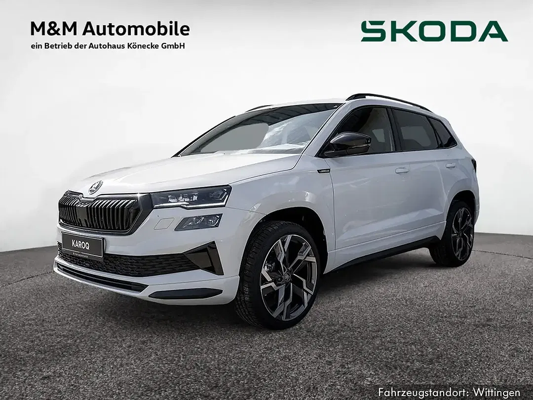 Skoda Karoq - Thumbnail 1