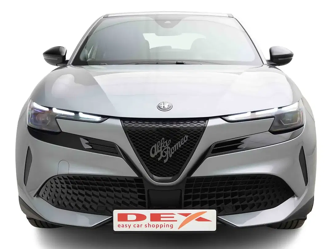 Alfa Romeo Junior - Thumbnail 2