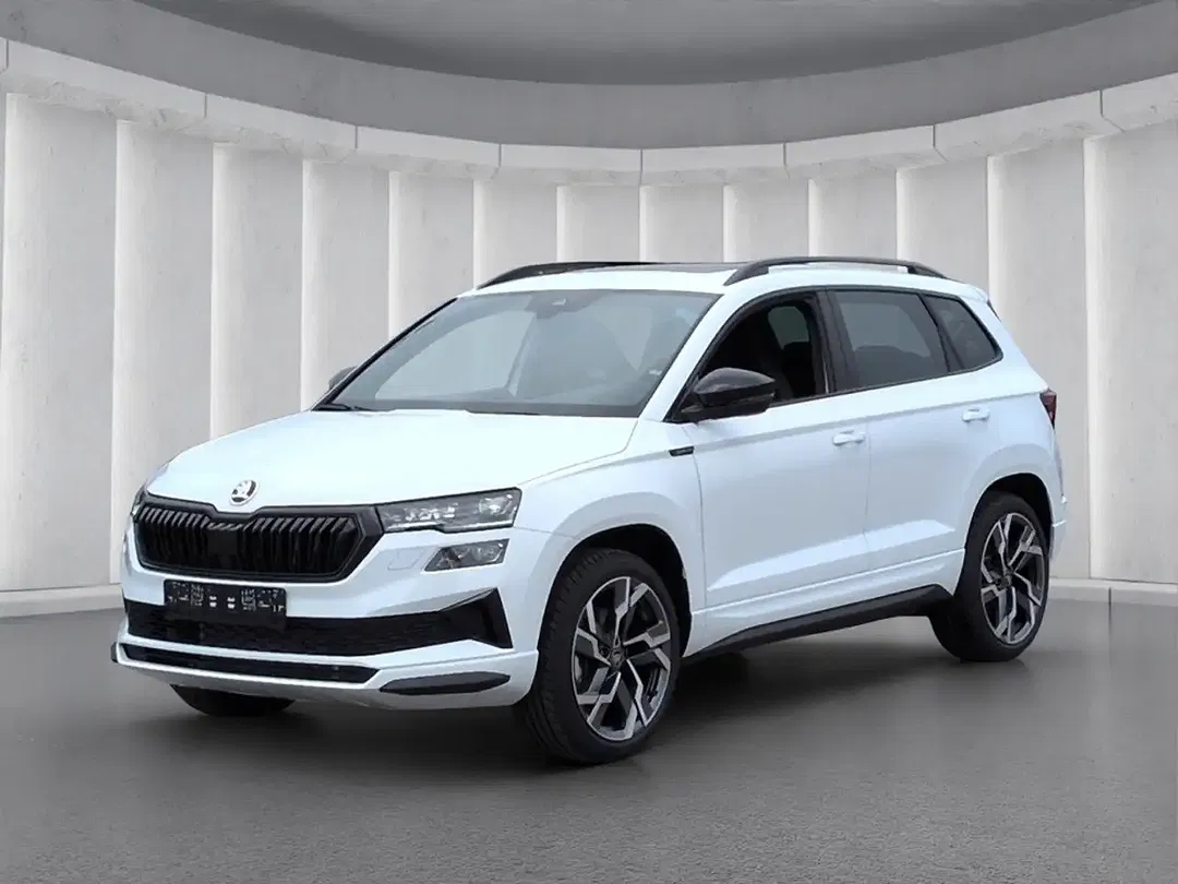 Skoda Karoq - Thumbnail 1