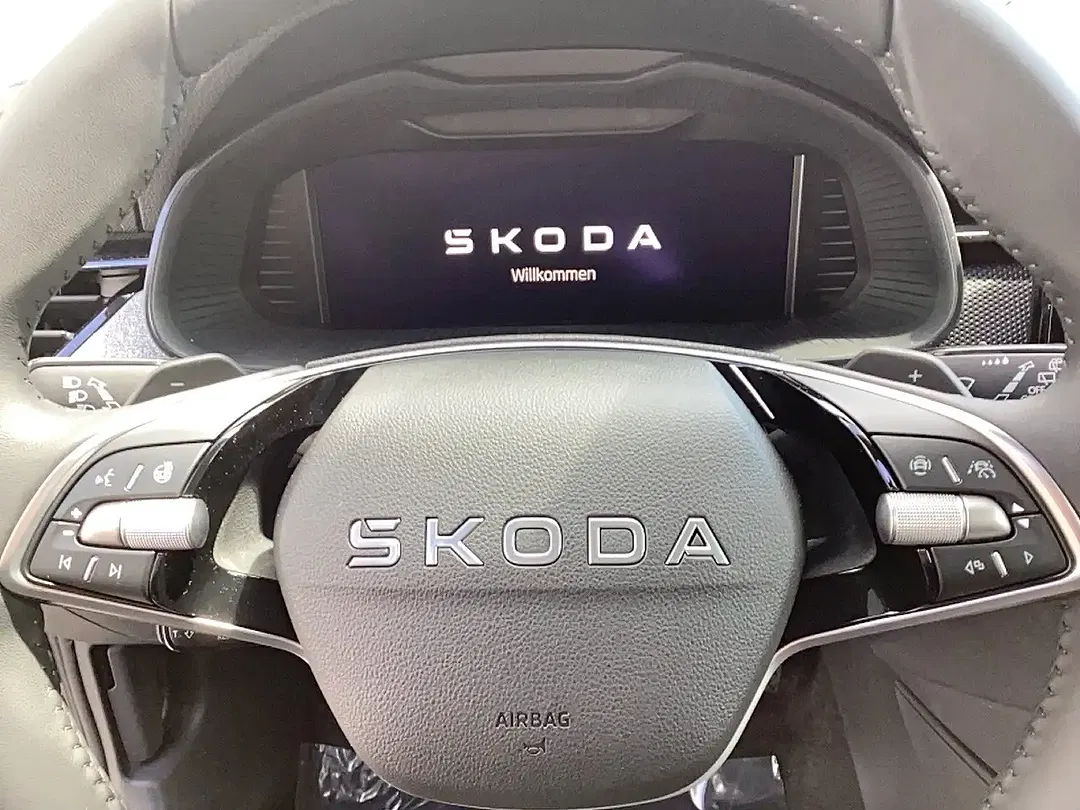 Skoda Kamiq - Thumbnail 10