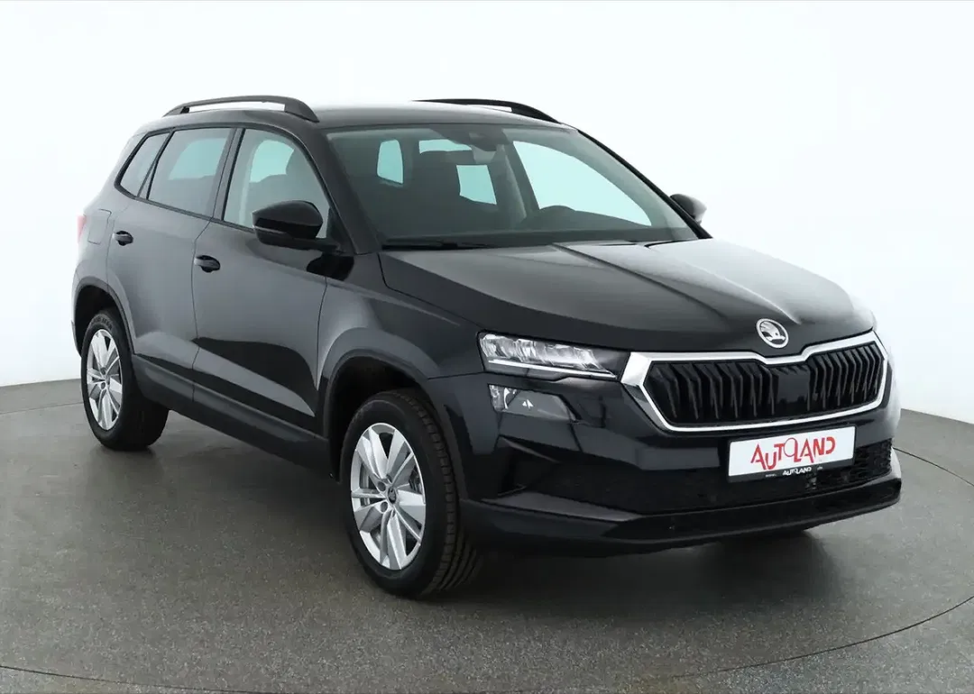 Skoda Karoq - Thumbnail 6