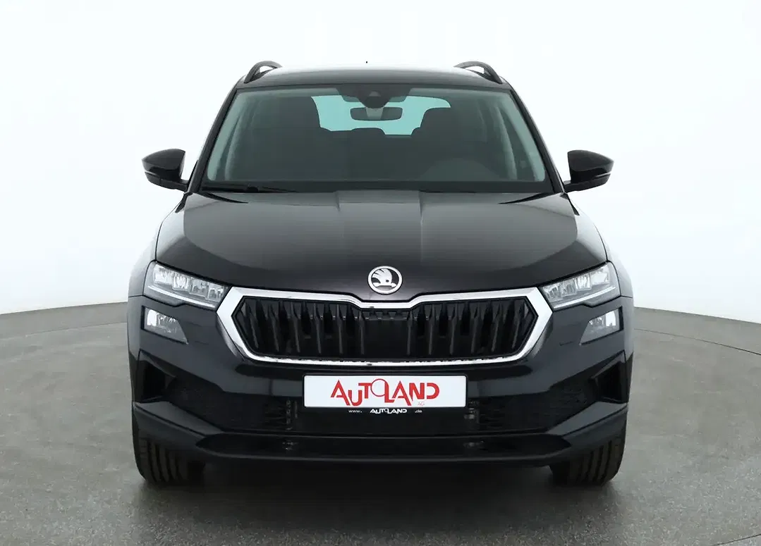 Skoda Karoq - Thumbnail 7