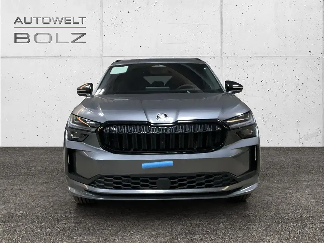 Skoda Kodiaq - Thumbnail 1