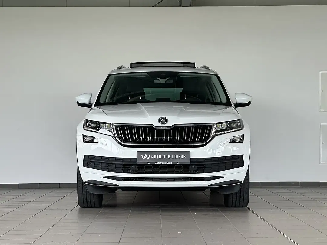 Skoda Kodiaq - Thumbnail 2