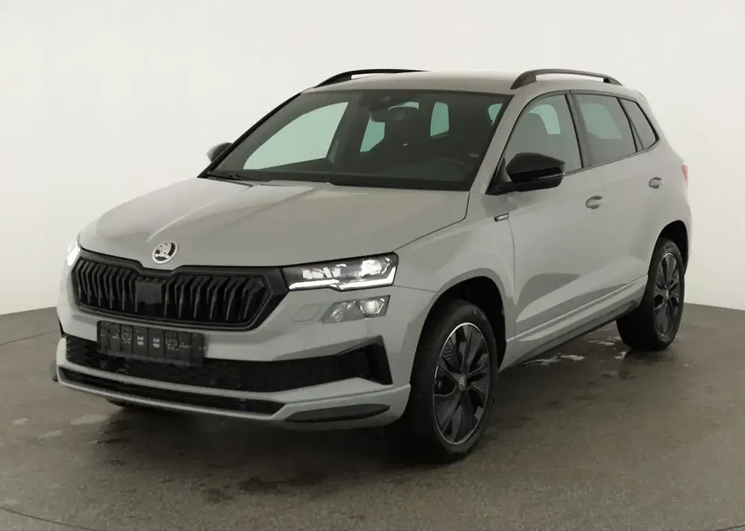 Skoda Karoq - Thumbnail 1
