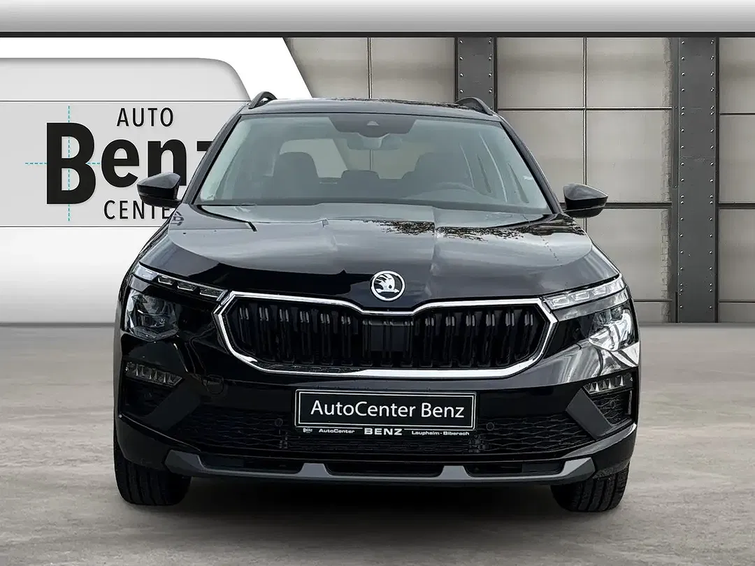 Skoda Kamiq - Thumbnail 8
