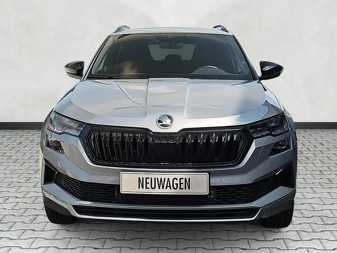 Skoda Karoq - Thumbnail 2