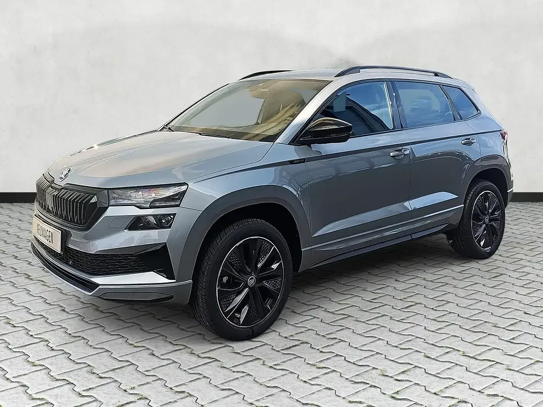 Skoda Karoq - Thumbnail 3