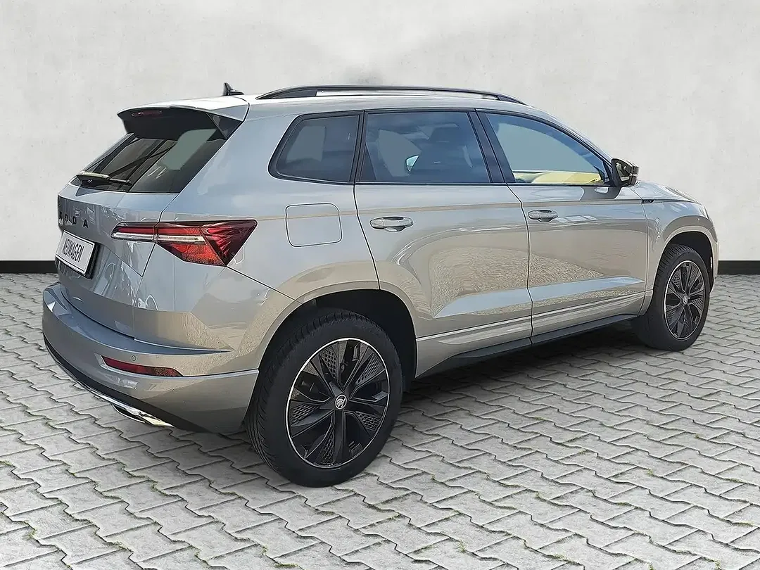 Skoda Karoq - Thumbnail 7