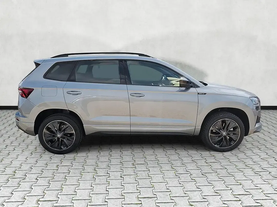 Skoda Karoq - Thumbnail 8